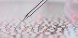 Découvrez notre approche scientifique unique, l'écobiologie.